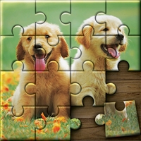 Jigsaw Puzzle Game 